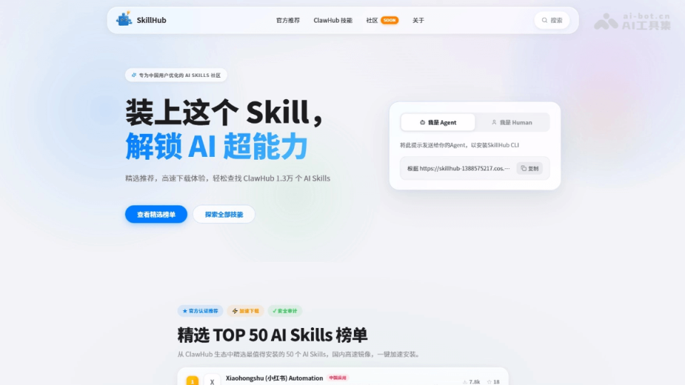 SkillHub 网站截图